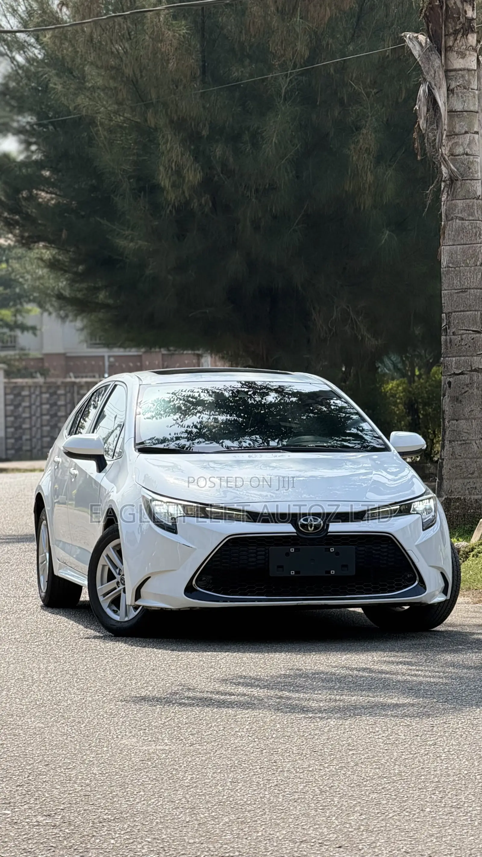 Toyota Corolla 2023 White
