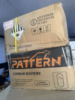2.5kWh 24V Pattern Lithium-Ion Solar Battery