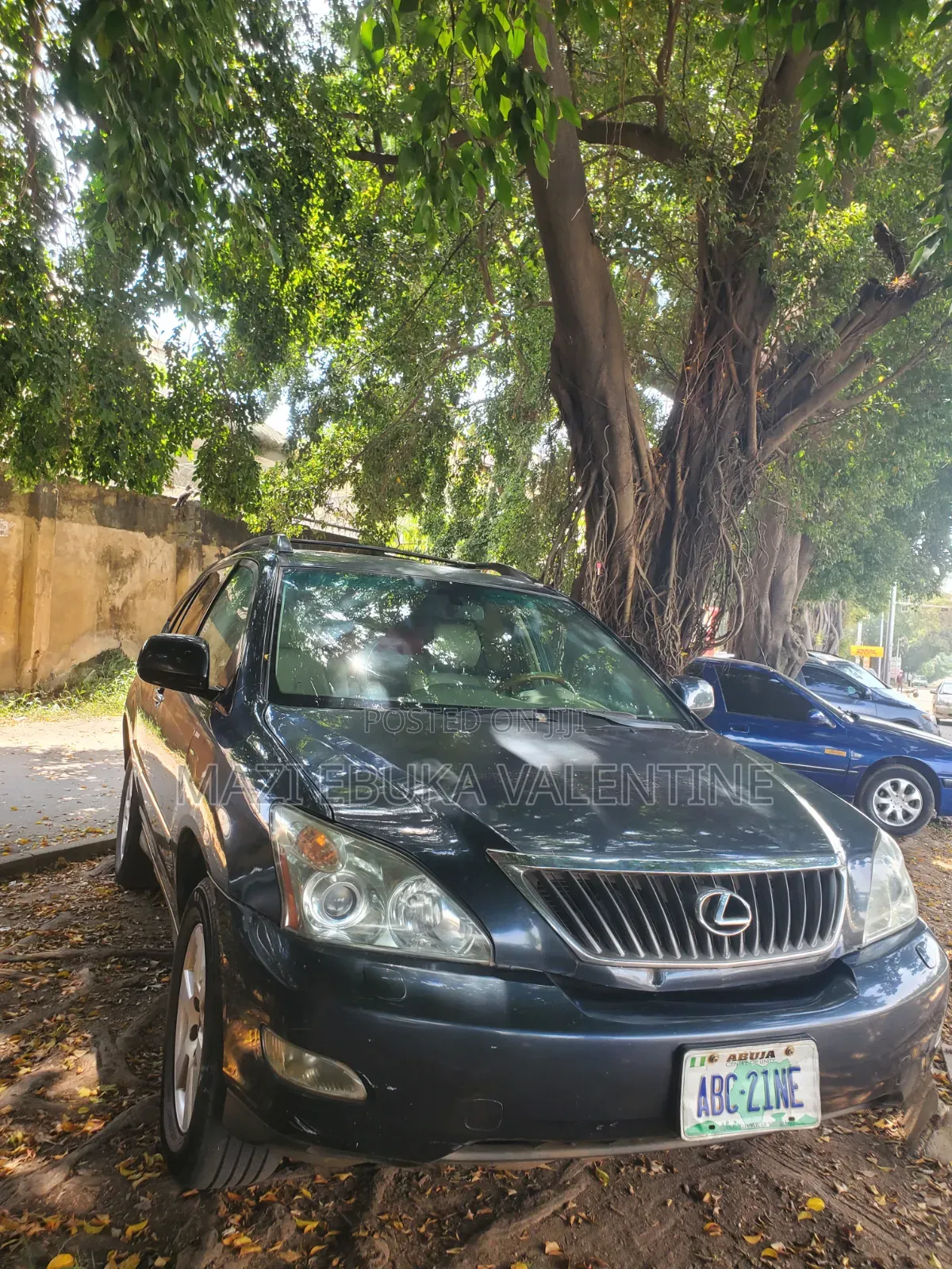 Lexus RX 2007 Blue