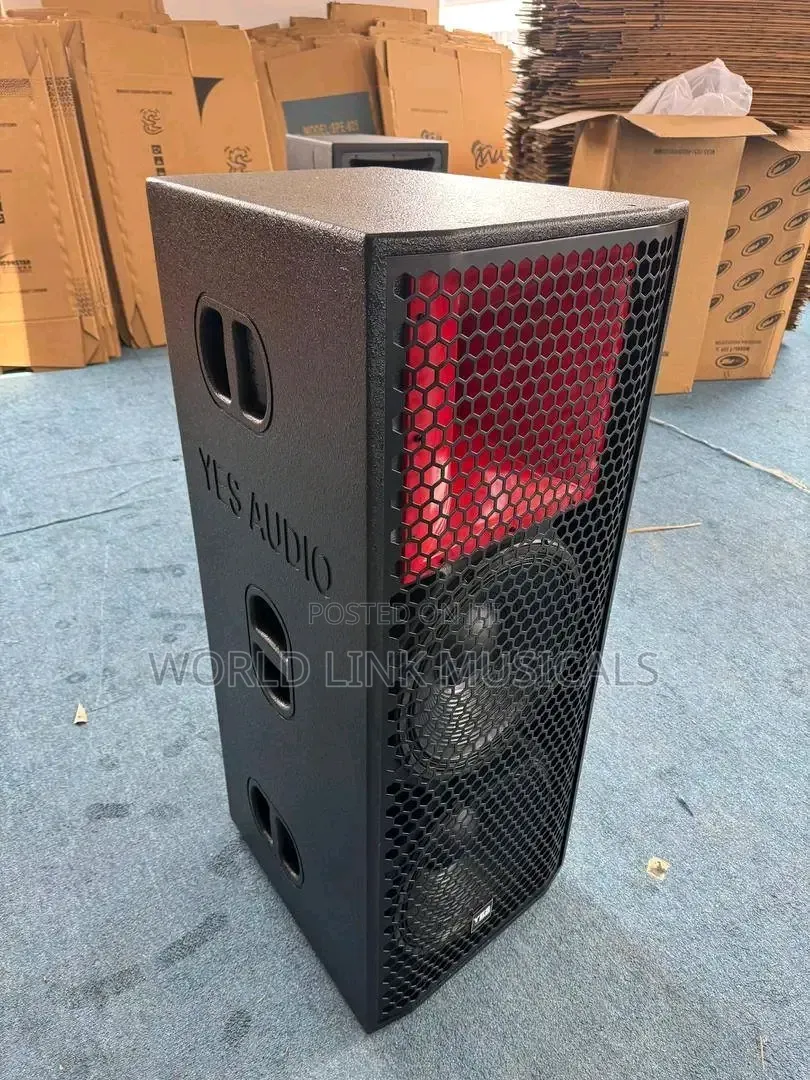 Professional Double 15 Inches Speaker