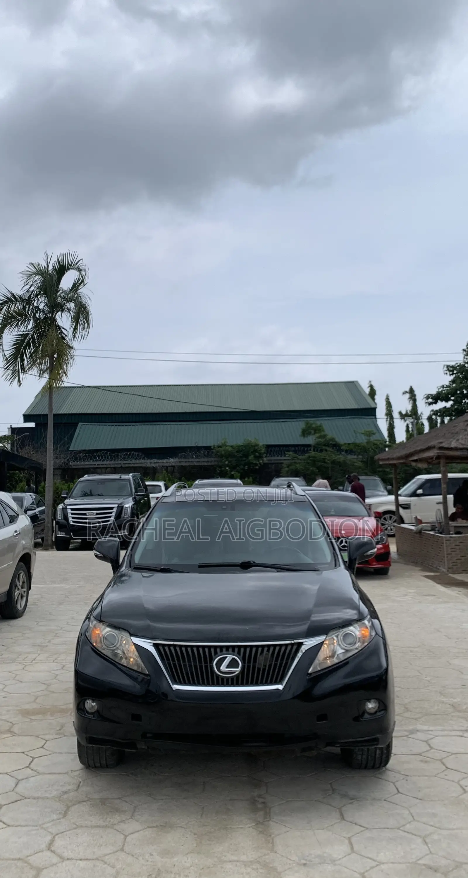 Lexus RX 2009 Black