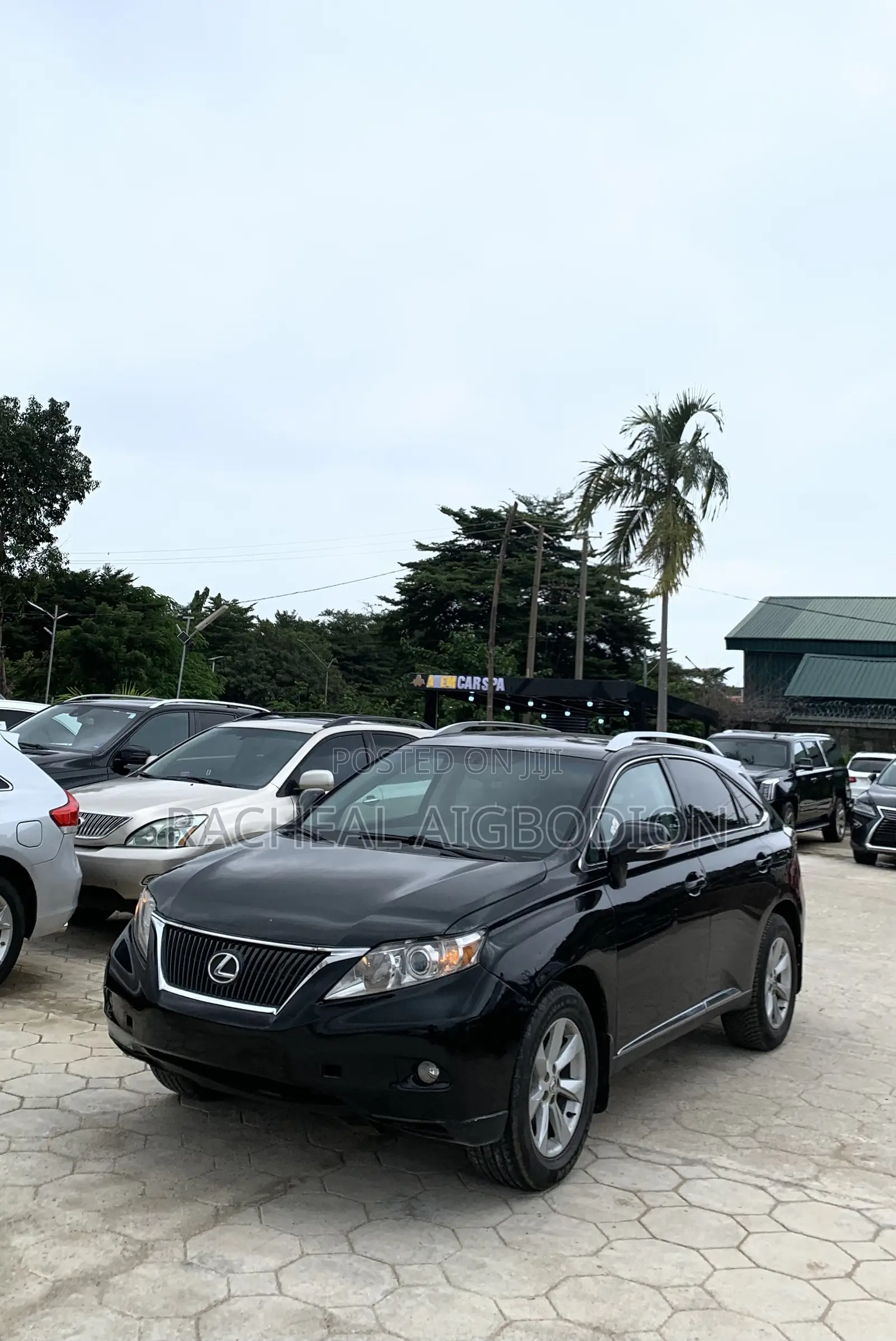 Lexus RX 2009 Black