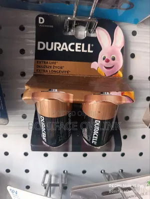 Duracell D (Lr20 / Mn1300)