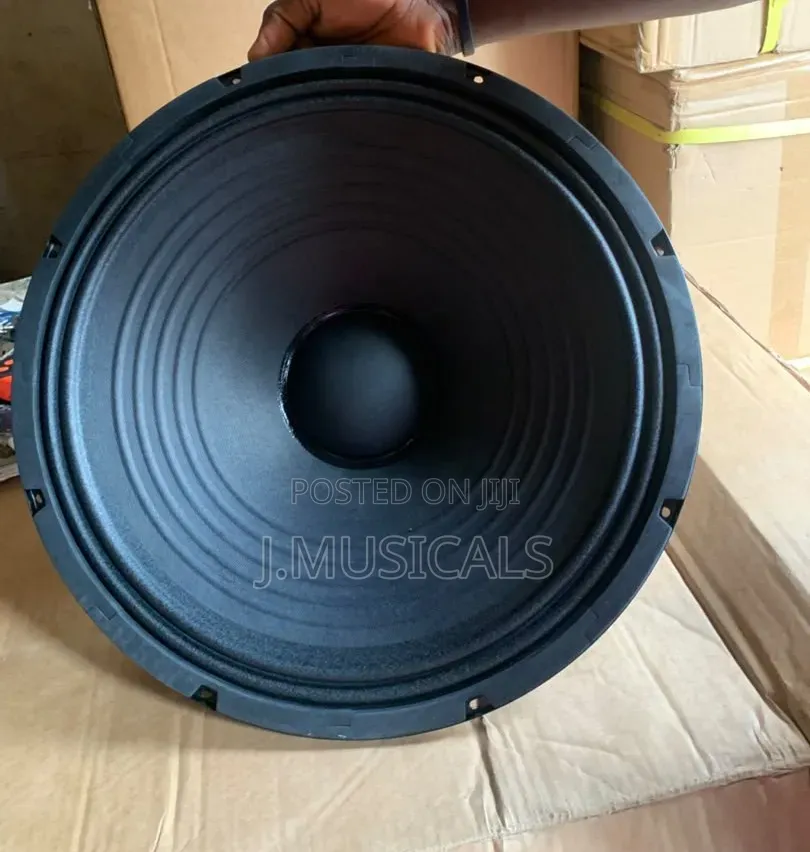 Quality 15inch Naked Speakers