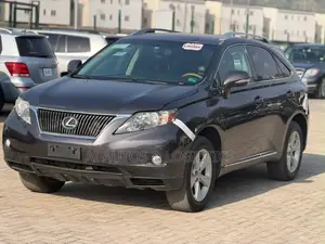 Lexus RX 350 2010 Gray