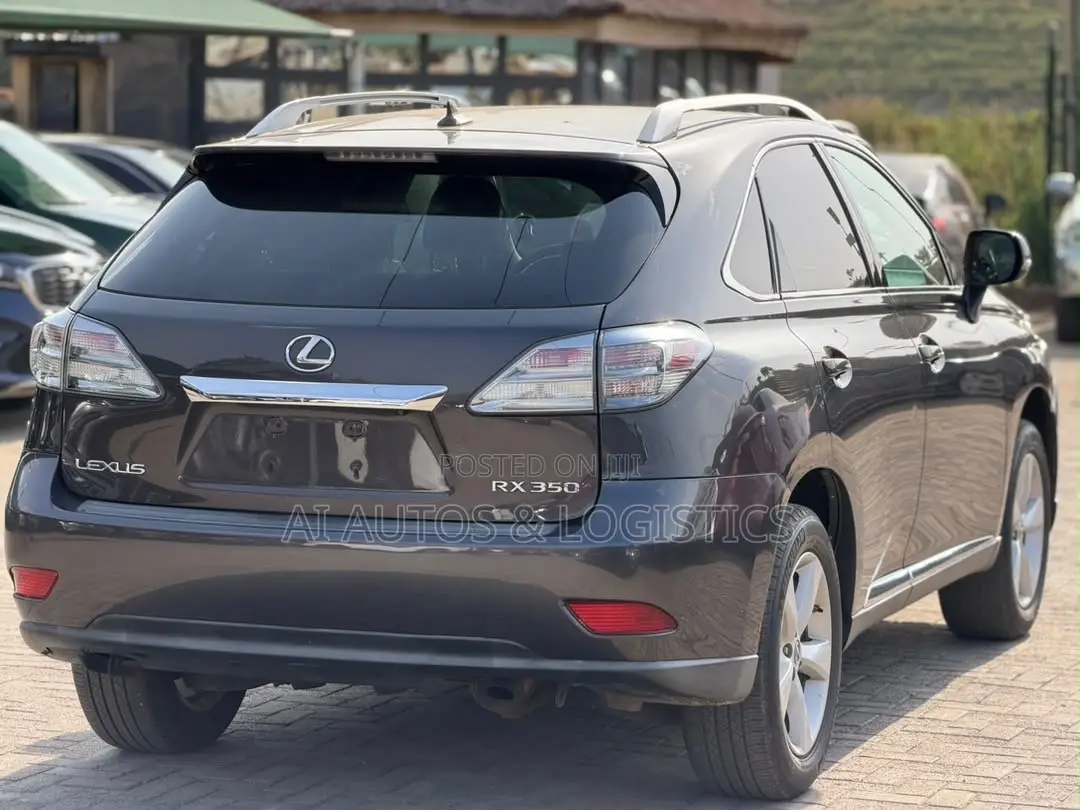 Lexus RX 350 2010 Gray