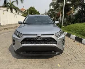 Toyota RAV4 LE FWD 2019 Silver