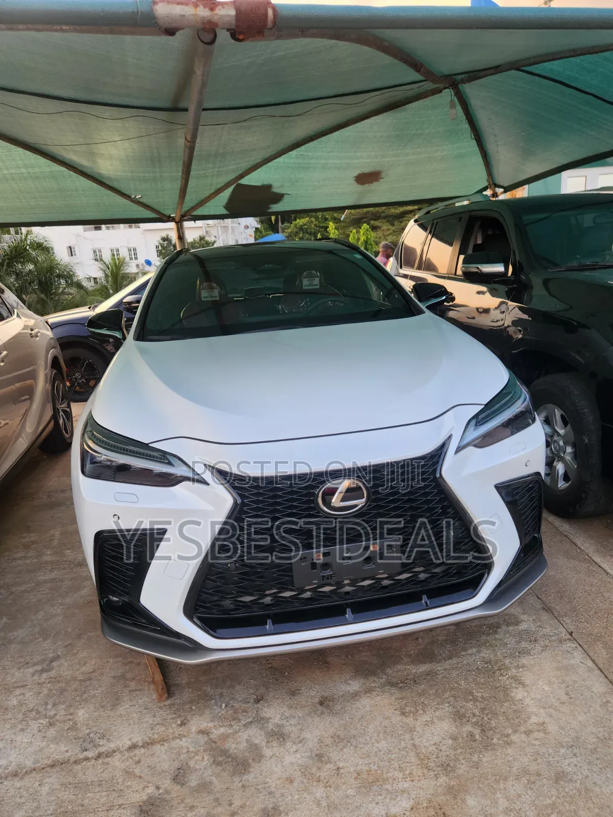 Lexus NX 350 F SPORT Handling AWD 2024 White