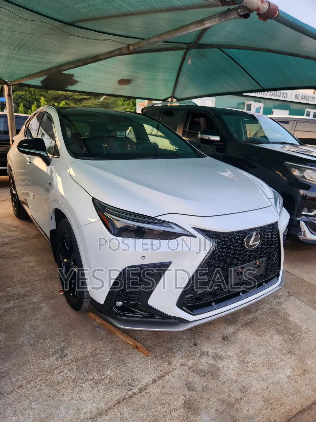 Lexus NX 350 F SPORT Handling AWD 2024 White