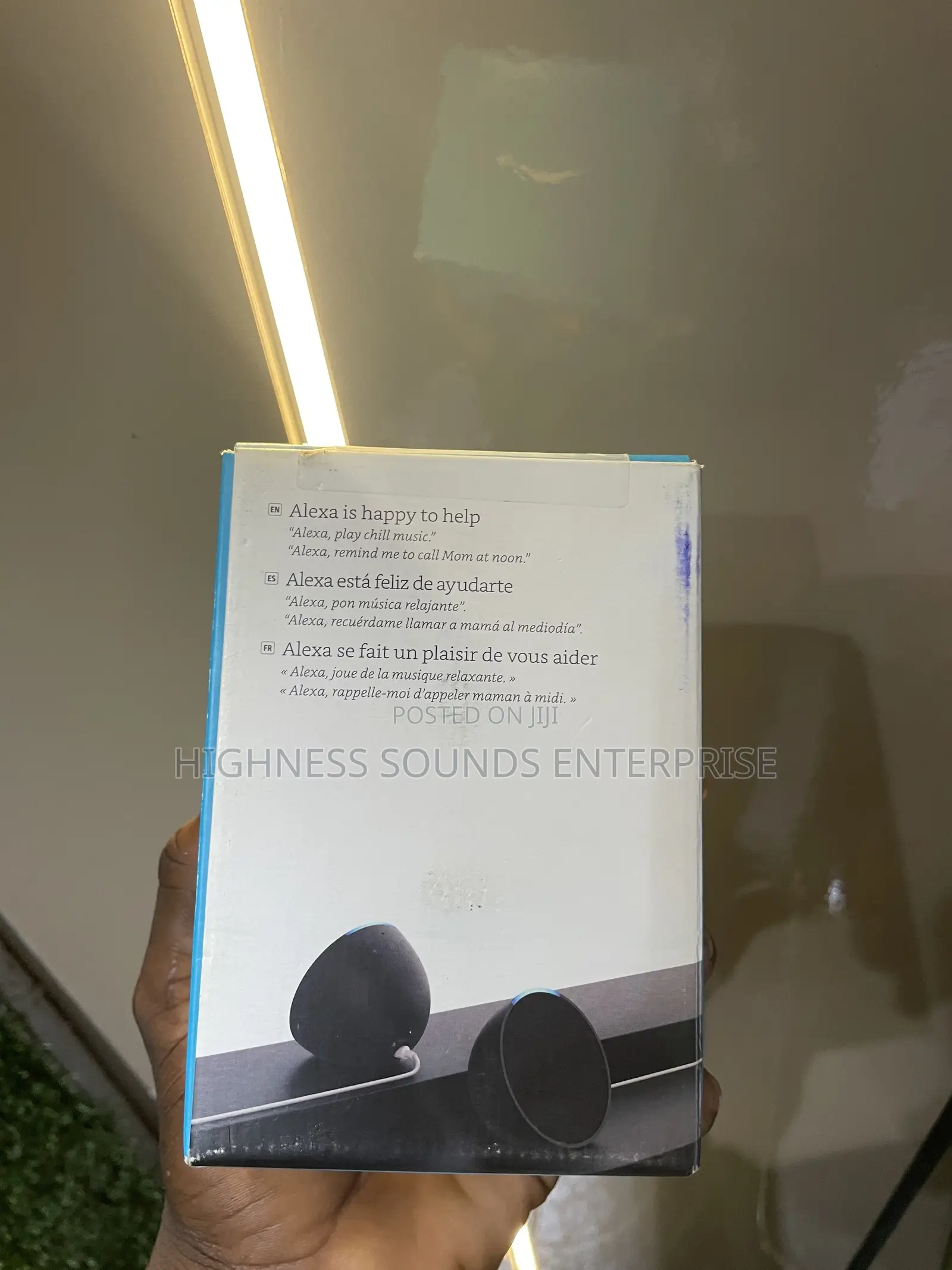 Alexa Echo Pop