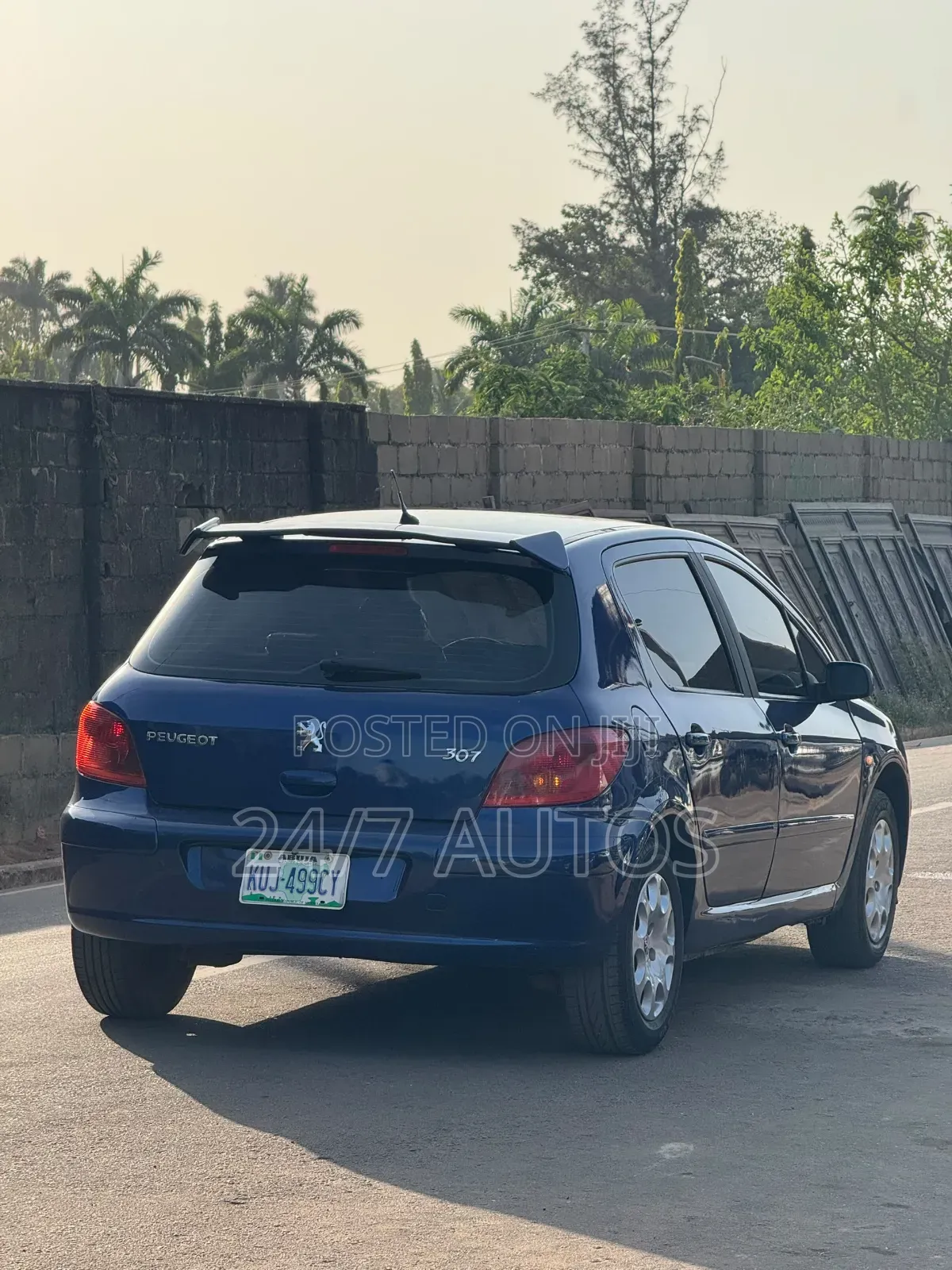 Peugeot 307 2005 Blue