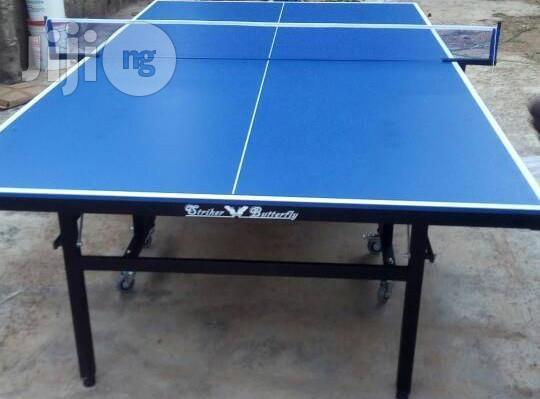 Water Resistant Outdoor Table Tennis Striker Butterfly