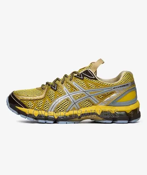 Asics Kayano 20