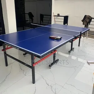 Original Water Resistance Outdoor Table Tennis