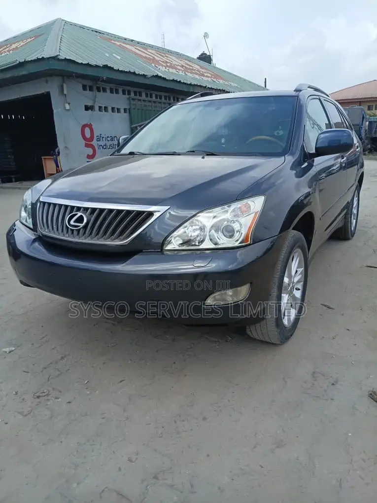 Lexus RX 350 2008 Gray