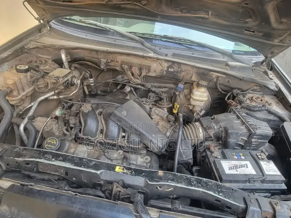 Ford Escape 2006 Green