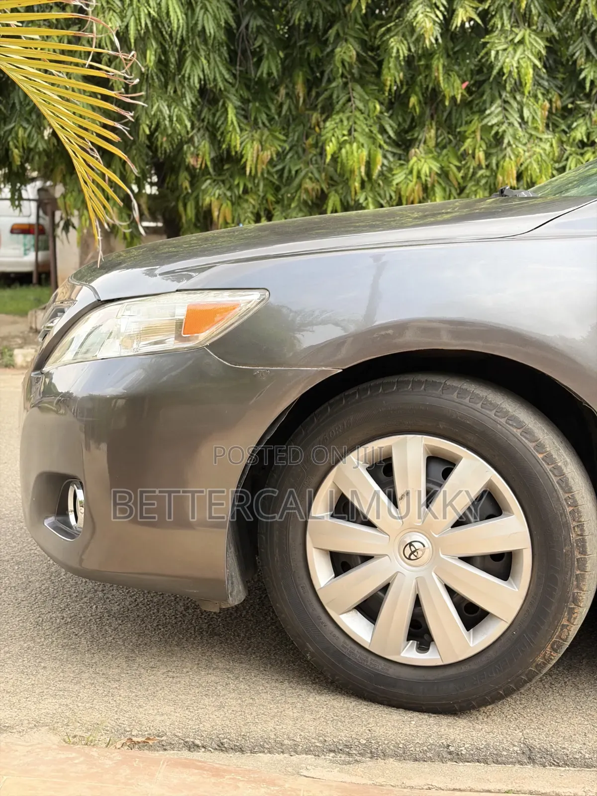 Toyota Camry LE 4dr Sedan (2.5L 4cyl 6AM) 2010 Gray