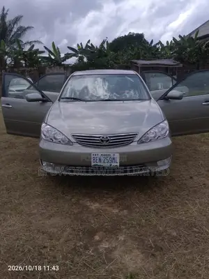 Toyota Camry LE 4dr Sedan (2.4L 4cyl 5A) 2006 Gray