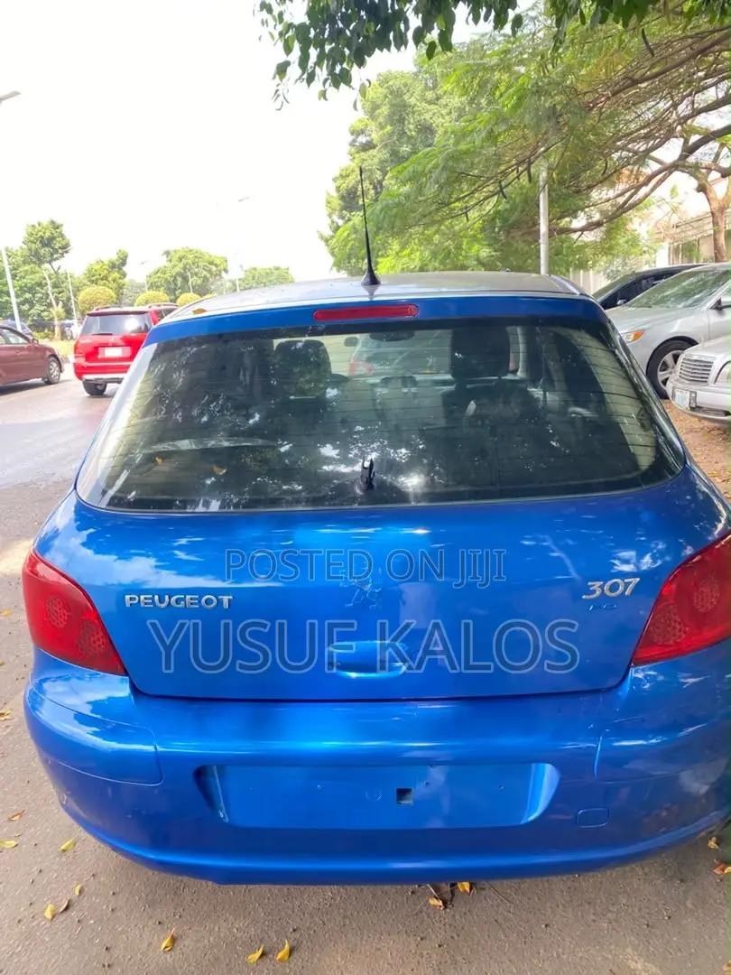 Peugeot 307 2007 Blue