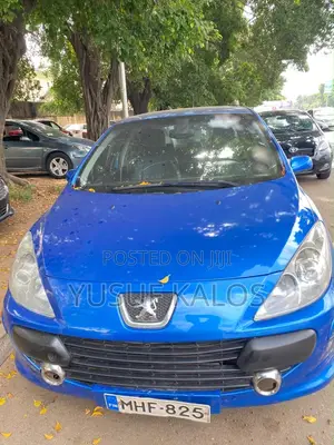 Peugeot 307 2007 Blue
