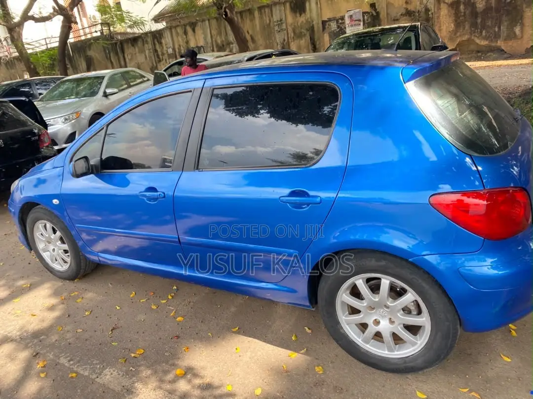Peugeot 307 2007 Blue
