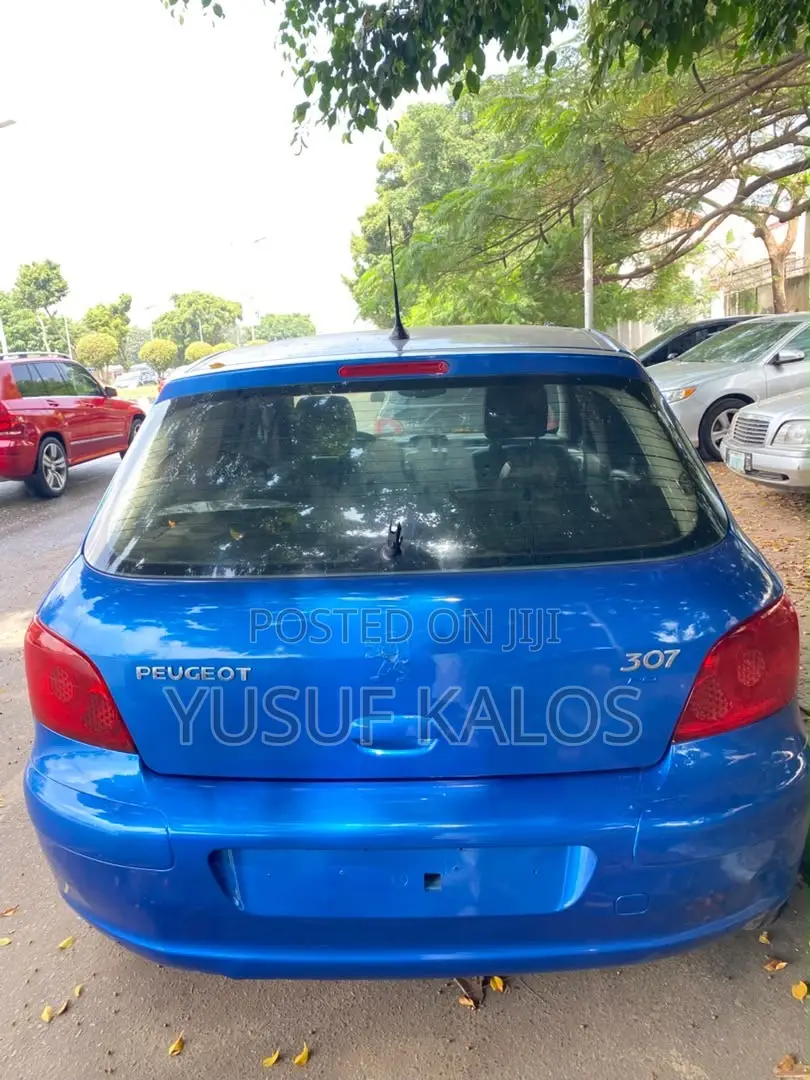 Peugeot 307 2007 Blue