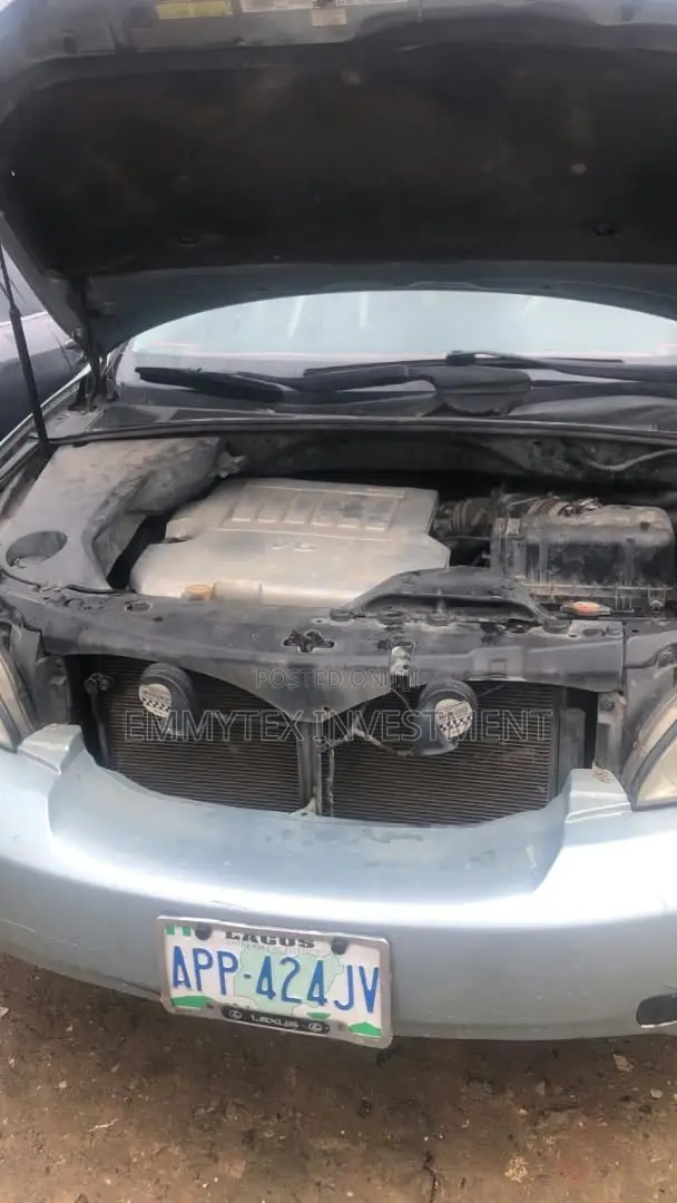 Lexus RX 2007 Blue