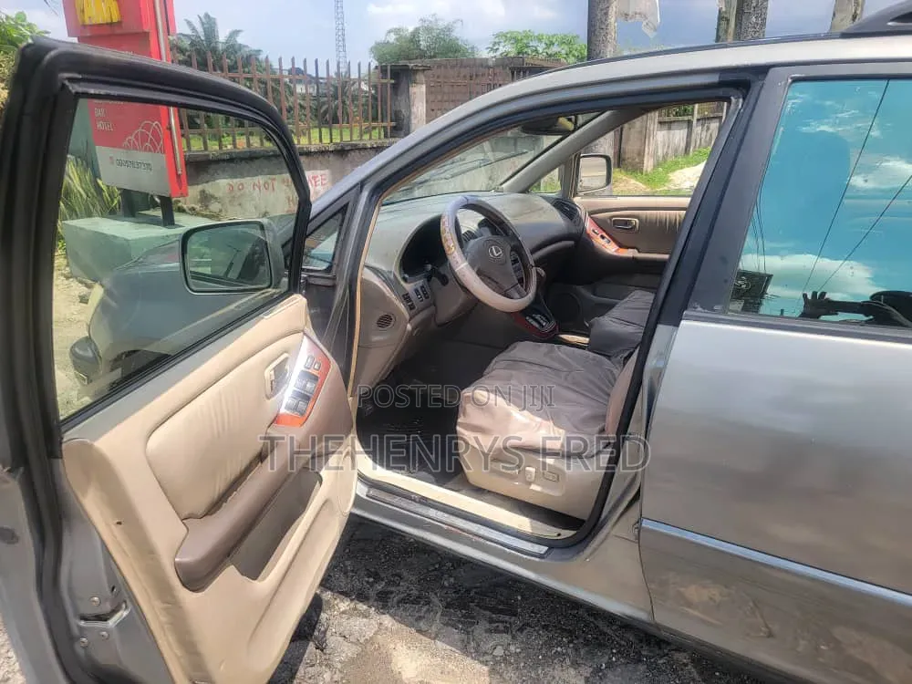 Lexus RX 300 4WD 2002 Gray