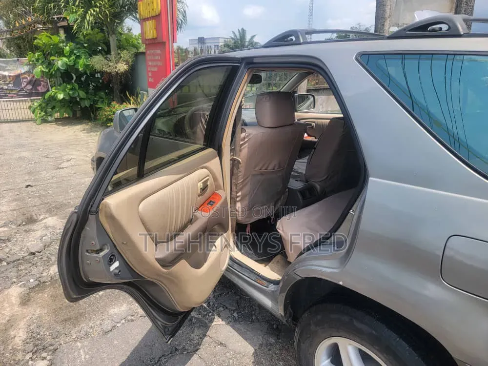 Lexus RX 300 4WD 2002 Gray