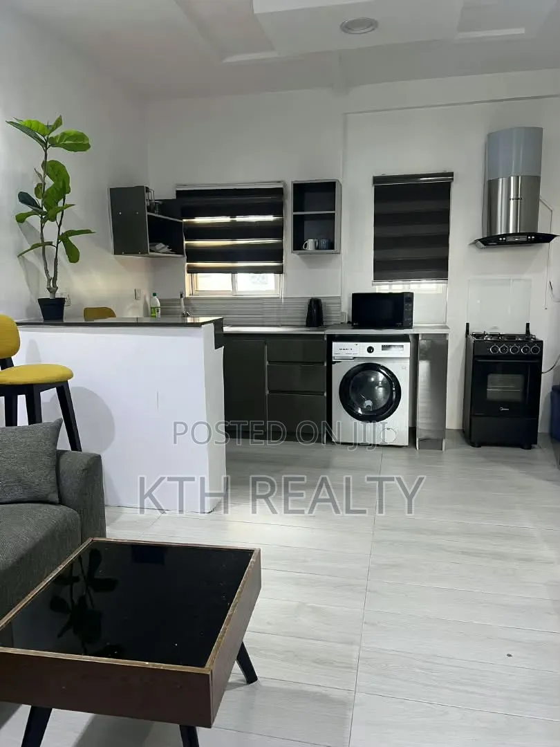 Furnished 1bdrm Apartment in Banana Island for rent
