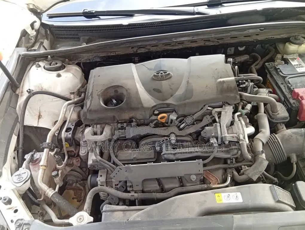 Toyota Camry LE (2.5L 4cyl 8A) 2019 White
