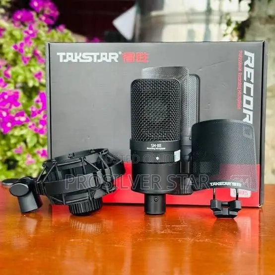 TAKSTAR SM-8B Professional Recording Microphone