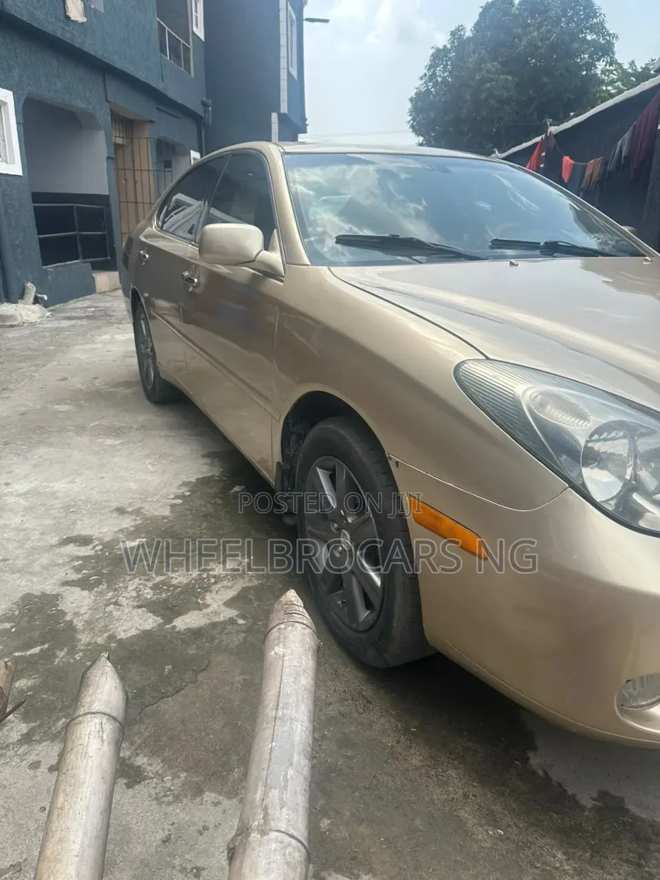 Lexus ES 330 Sedan 2004 Gold