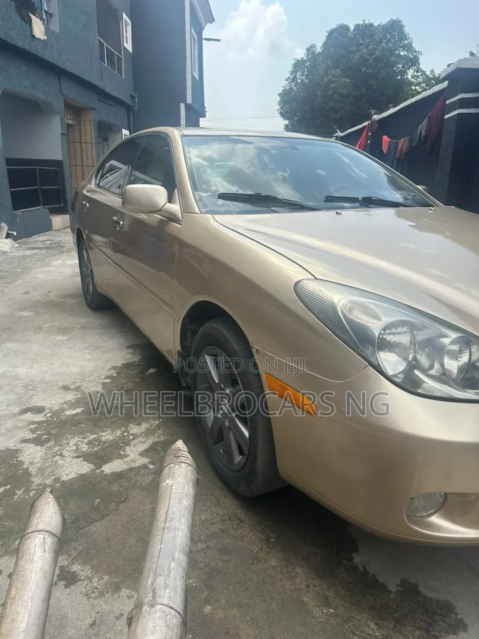 Lexus ES 330 Sedan 2004 Gold