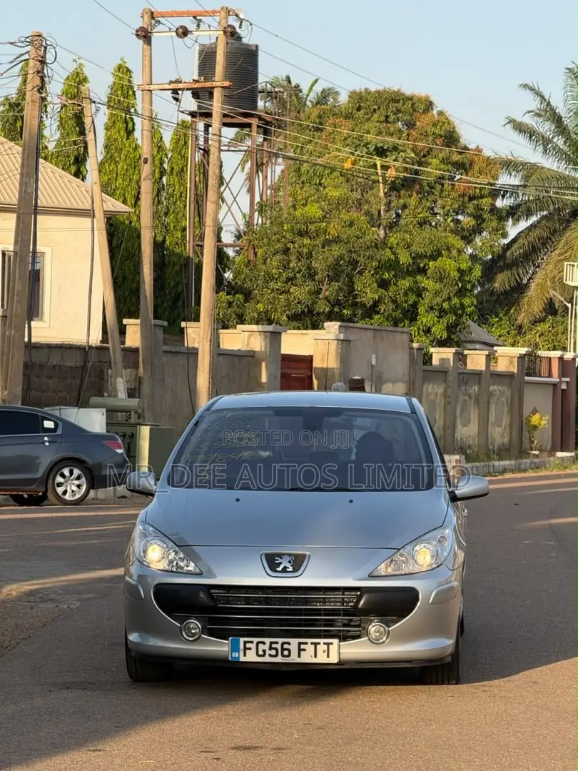 Peugeot 307 2007 Silver