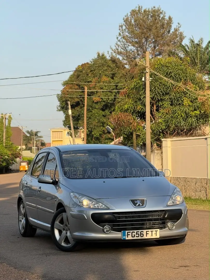 Peugeot 307 2007 Silver
