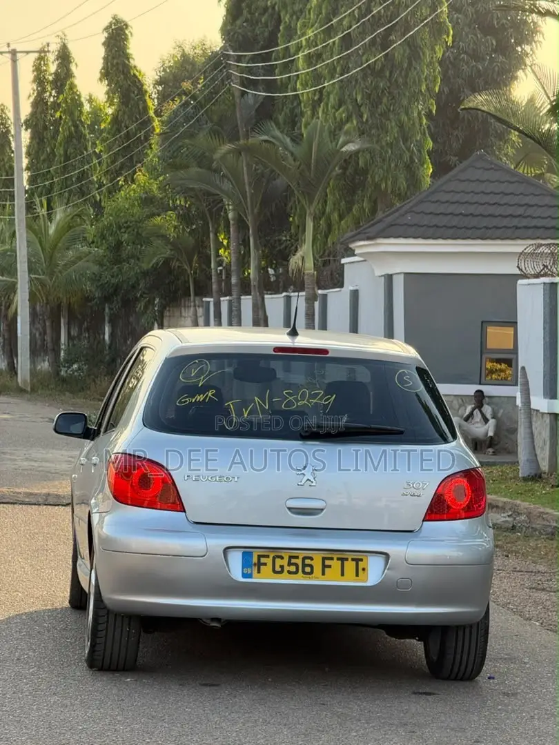 Peugeot 307 2007 Silver