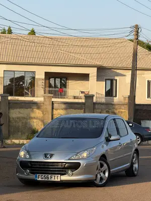 Peugeot 307 2007 Silver