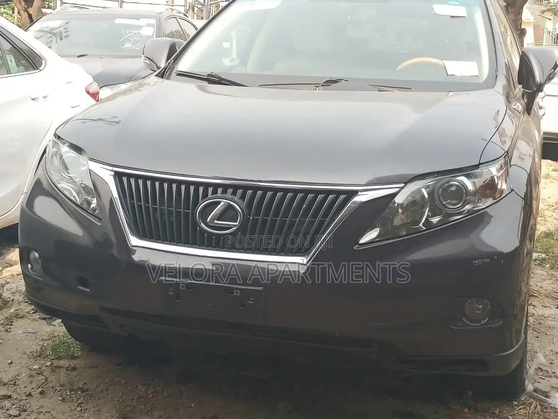 Lexus RX 350 2010 Brown