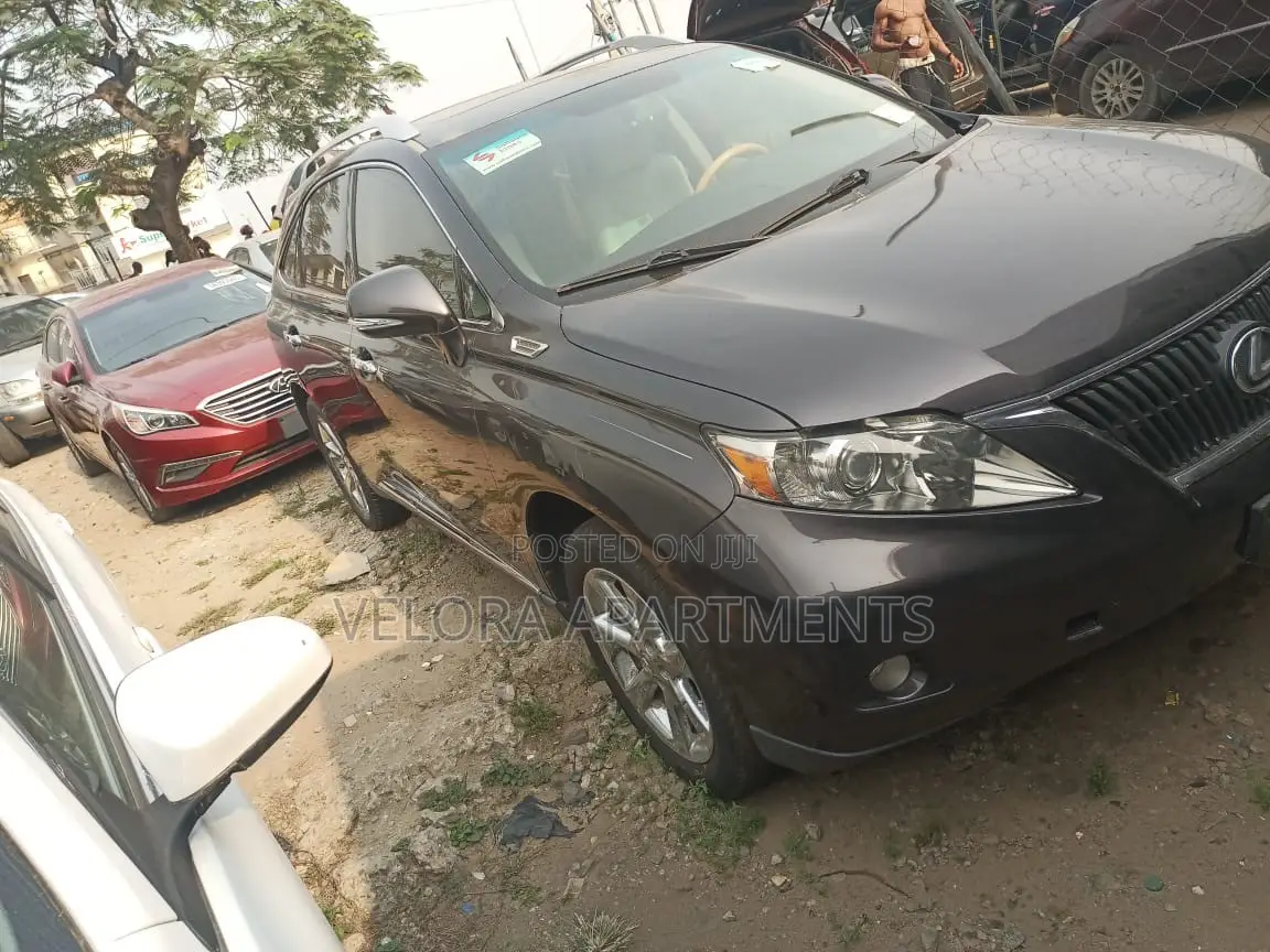 Lexus RX 350 2010 Brown