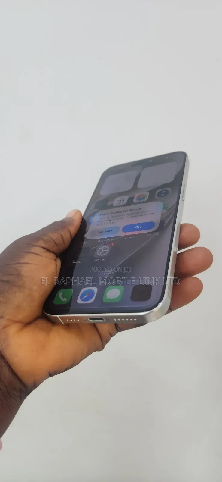 Apple iPhone 15 Pro Max 256 GB Silver