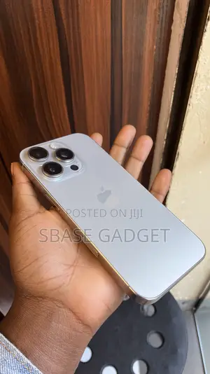 Apple iPhone 16 Pro 256 GB Gray