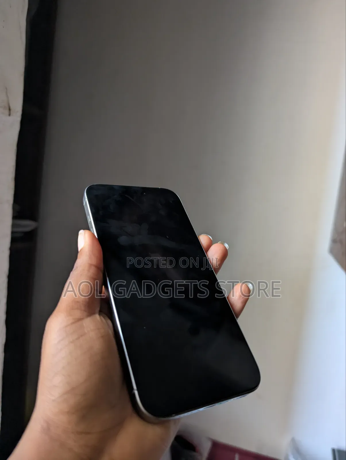 Apple iPhone 15 Pro Max 256 GB Gray