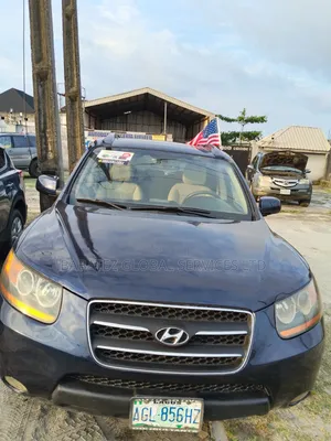 Hyundai Santa Fe 2009 Blue