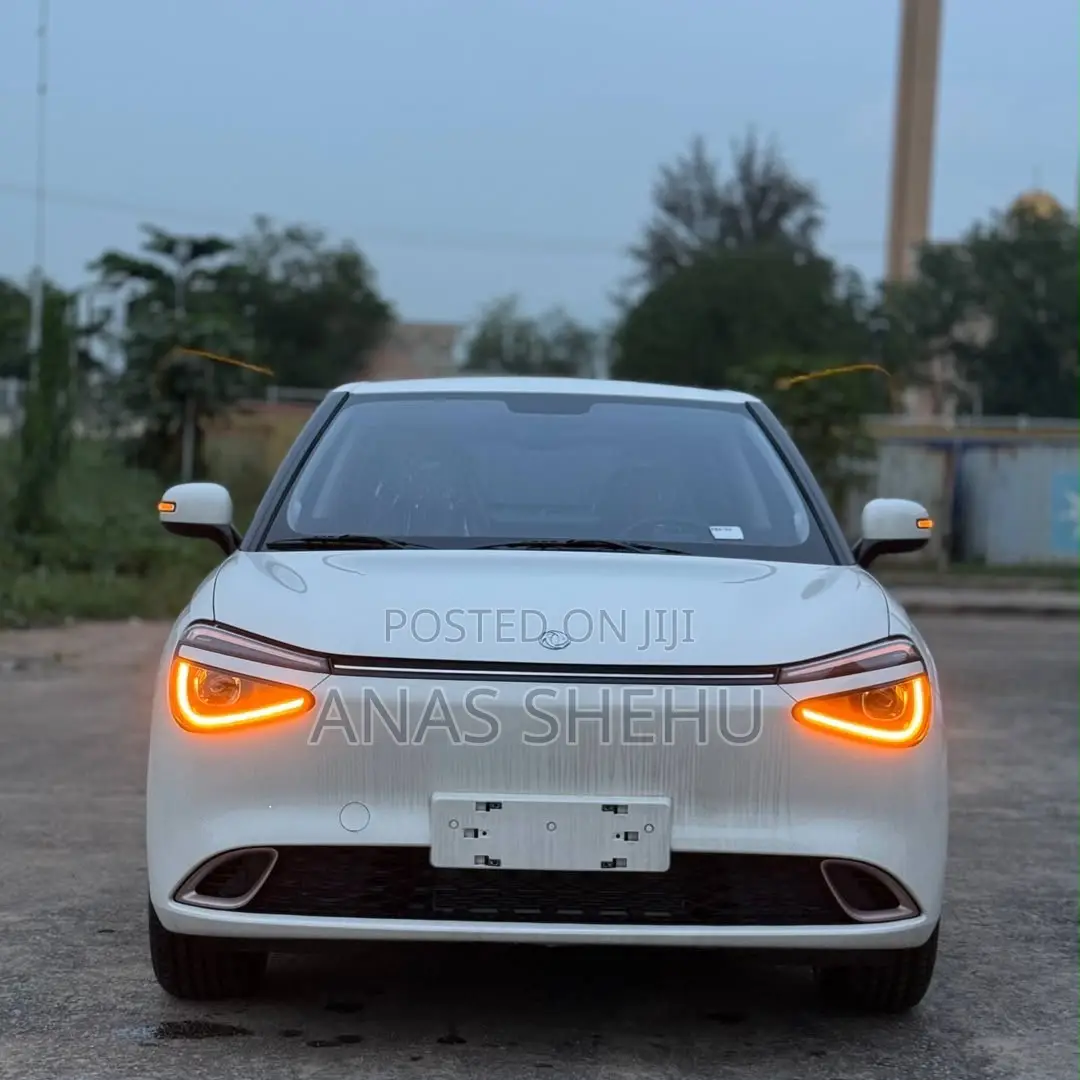 New Dongfeng Nammi 01 2025 White