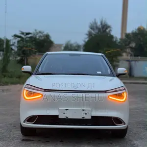 New Dongfeng Nammi 01 2025 White