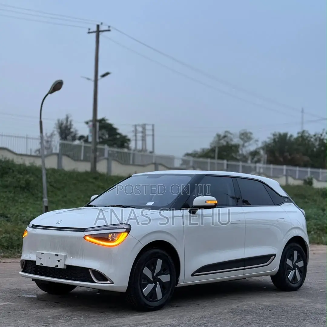 New Dongfeng Nammi 01 2025 White