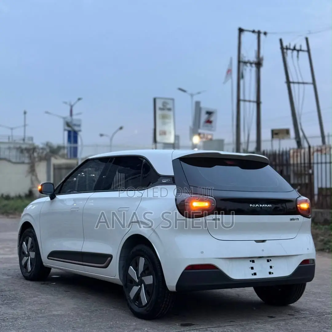 New Dongfeng Nammi 01 2025 White