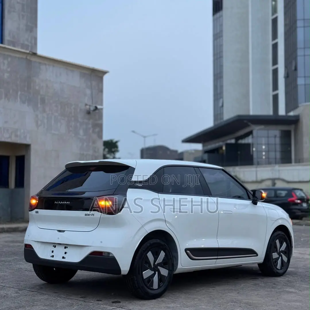 New Dongfeng Nammi 01 2025 White