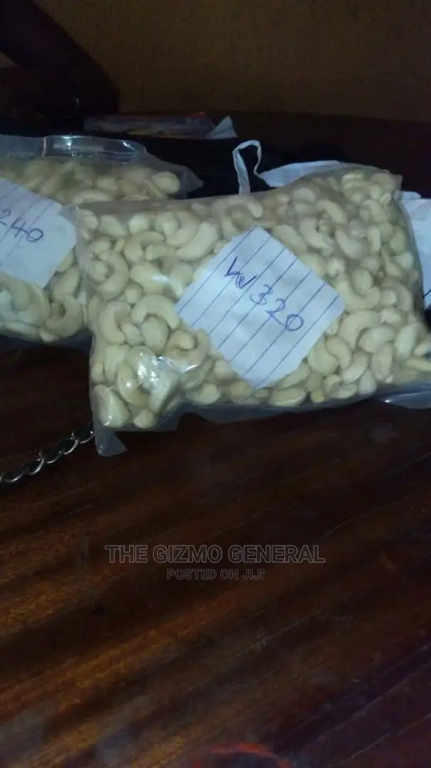 Processed Cashew Nut - Grade W320 W240 in Tonnes(1000kg)